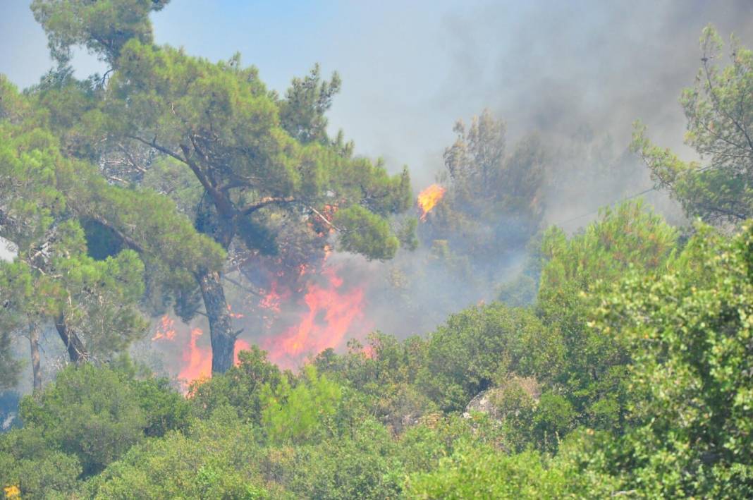 Manisa'da çıkan orman yangınında dumanlar İzmir'e ilerliyor 3